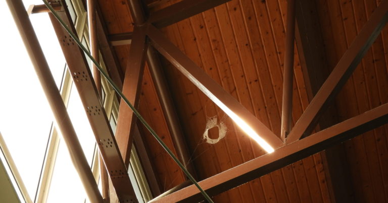 Na poličku aktuálně